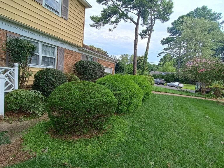 475174697_122197933460200232_4890798808748547967_n