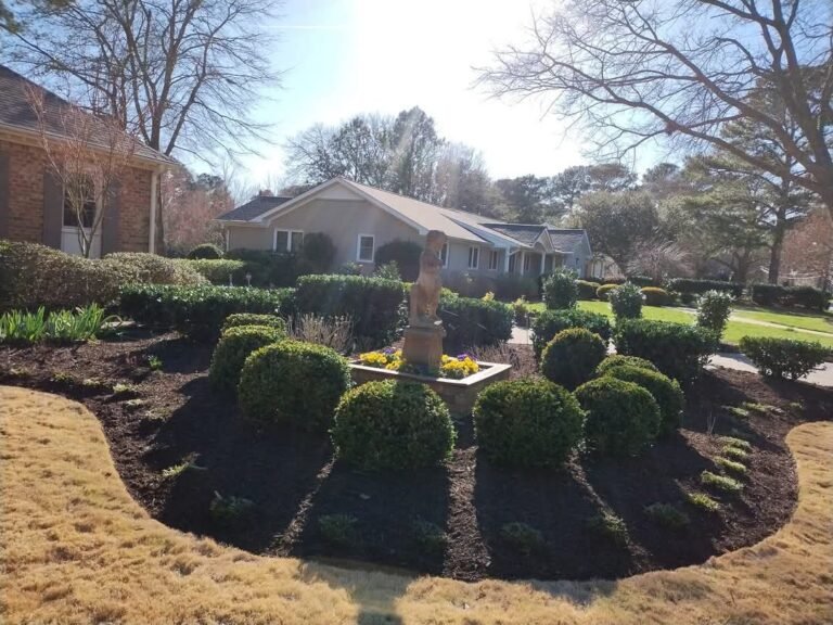 480897861_122202887090200232_2132917924988135489_n