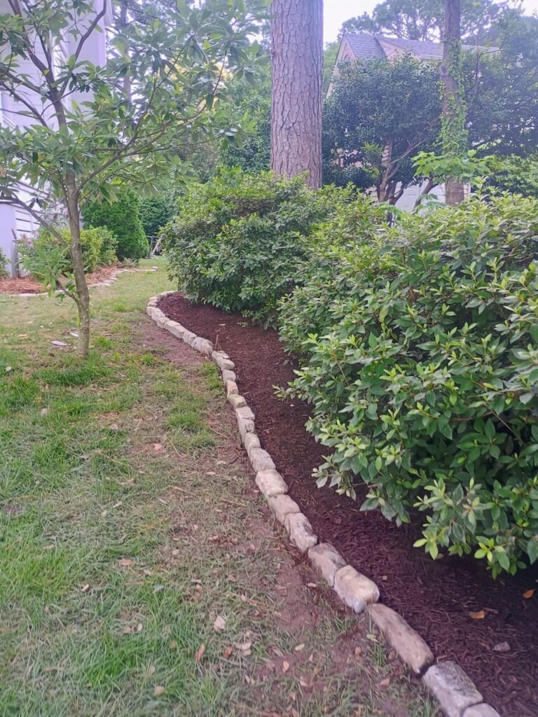 515511822_122229733442200232_2100446234081146547_n