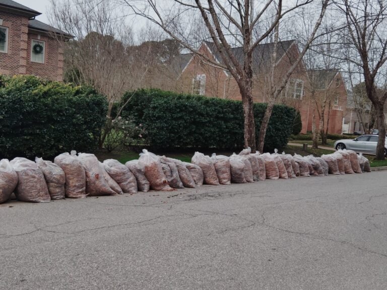 593824915_122255652206200232_5637980883010023927_n