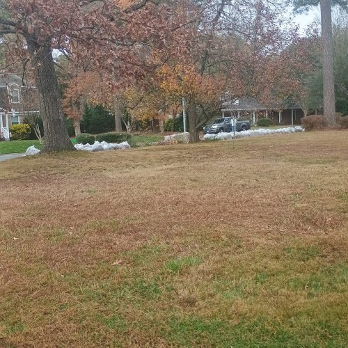 474824183_122198165192200232_141656232324016694_n