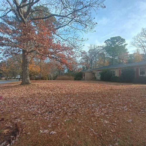 474887876_122198165594200232_3897660552704735215_n