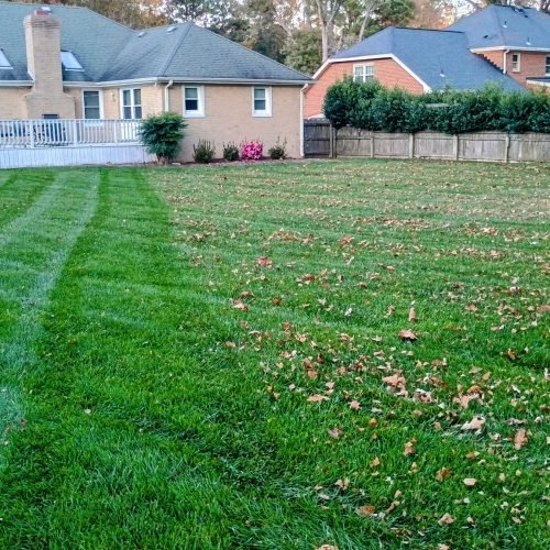 475040561_122197959494200232_7477283840450051628_n