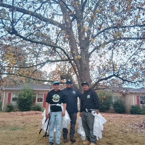 475051945_122198164004200232_6084447786081300293_n