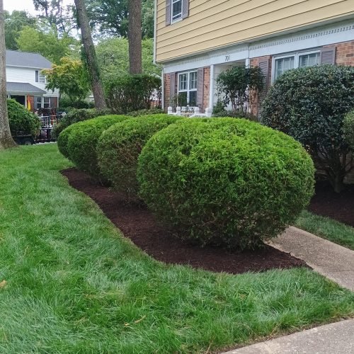 475160975_122197933562200232_6418107164350409233_n