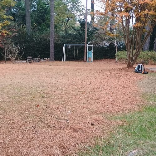 475267506_122197940894200232_3158054872275909586_n