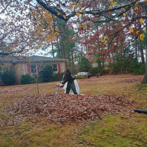 475327471_122198165186200232_45691195792477539_n