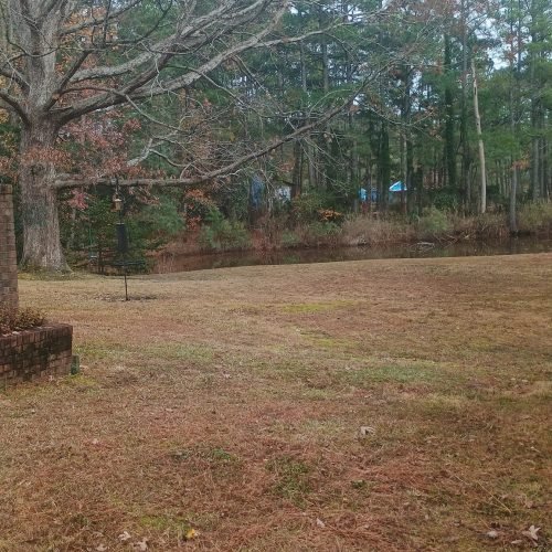 475446236_122198165180200232_6136152933539990934_n