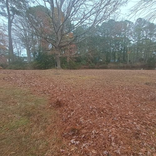 475461615_122198165702200232_4281736611620774426_n