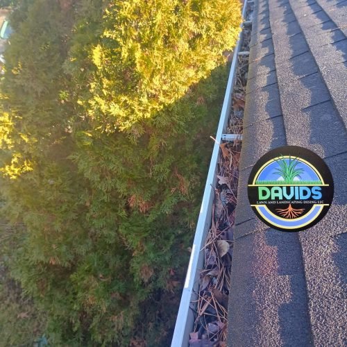 476238527_122200146560200232_1495307393709137399_n