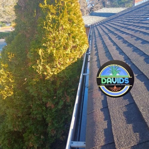 476608435_122200146590200232_1937915968059995749_n